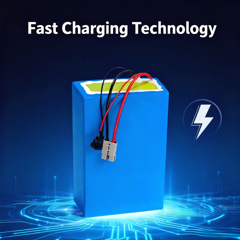 BMS 72V Lithium-Ion Battery Pa - 72V 60Ah Lifepo4 Battery Pack recension och pris
